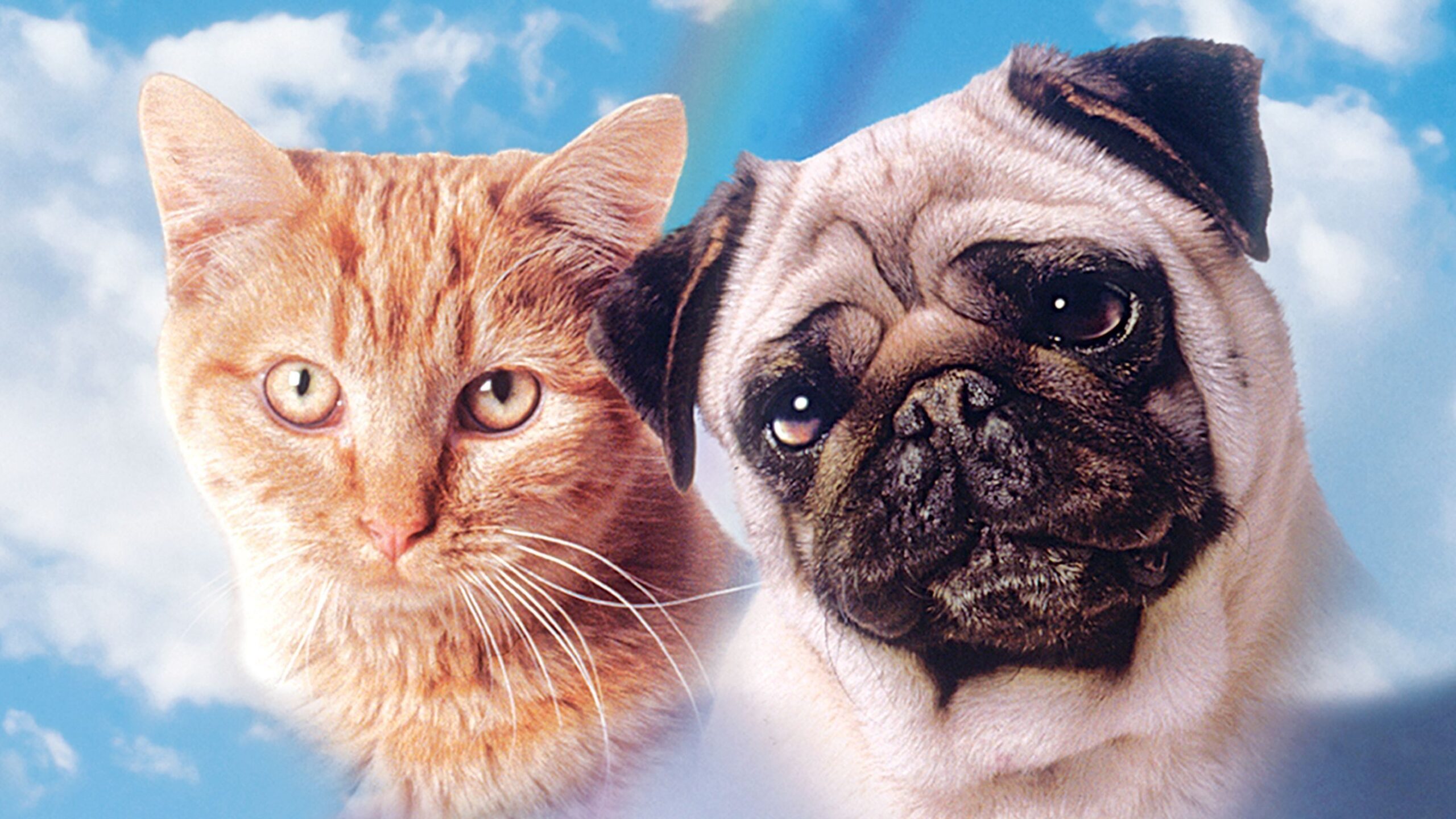 دانلود فیلم The Adventures of Milo and Otis 1986