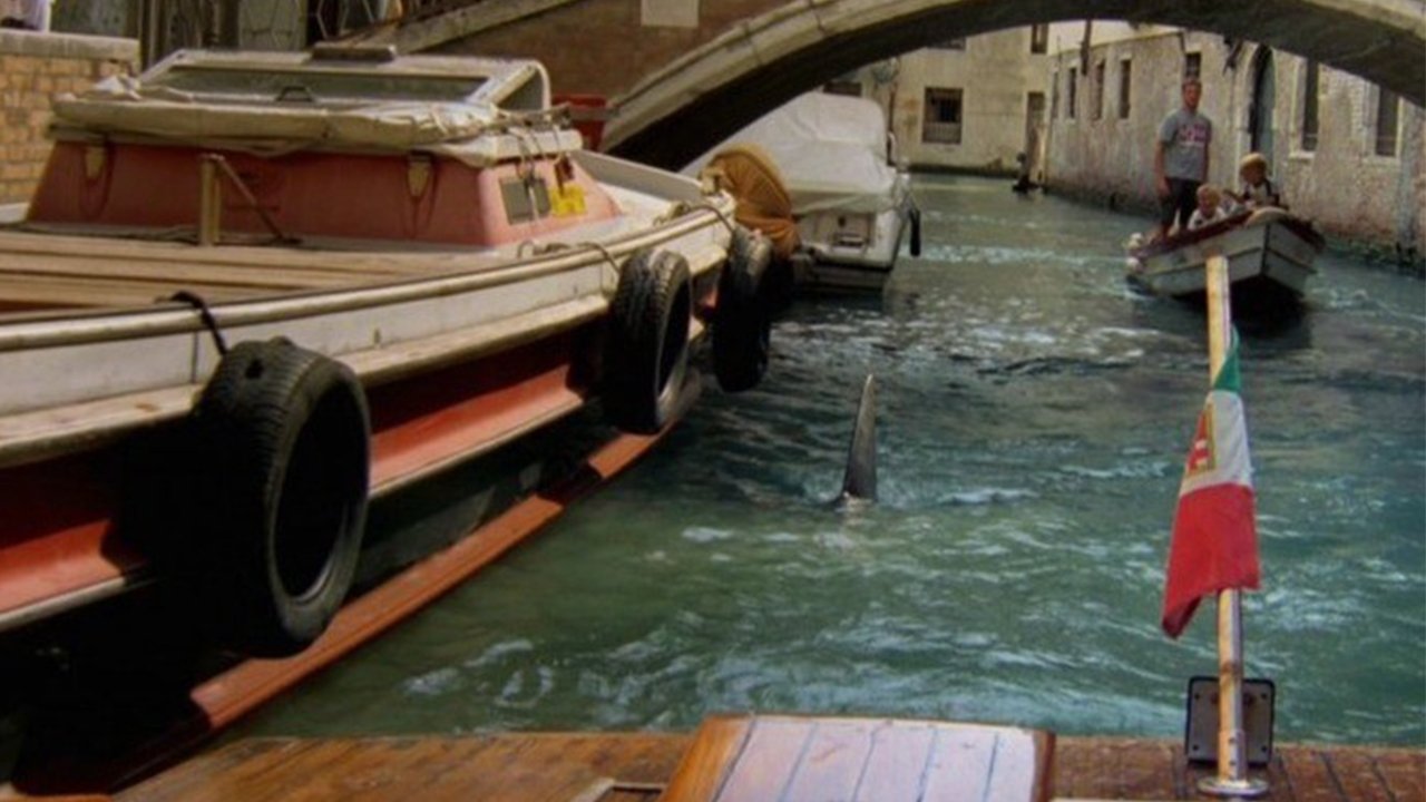 دانلود فیلم Shark in Venice 2008