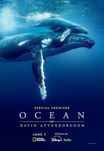 دانلود مستند Ocean with David Attenborough 2025438009-1022045565