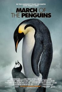 دانلود مستند March of the Penguins 2005441432-1597116579