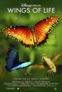 دانلود فیلم Disneynature: Wings of Life 2011441406-401783411