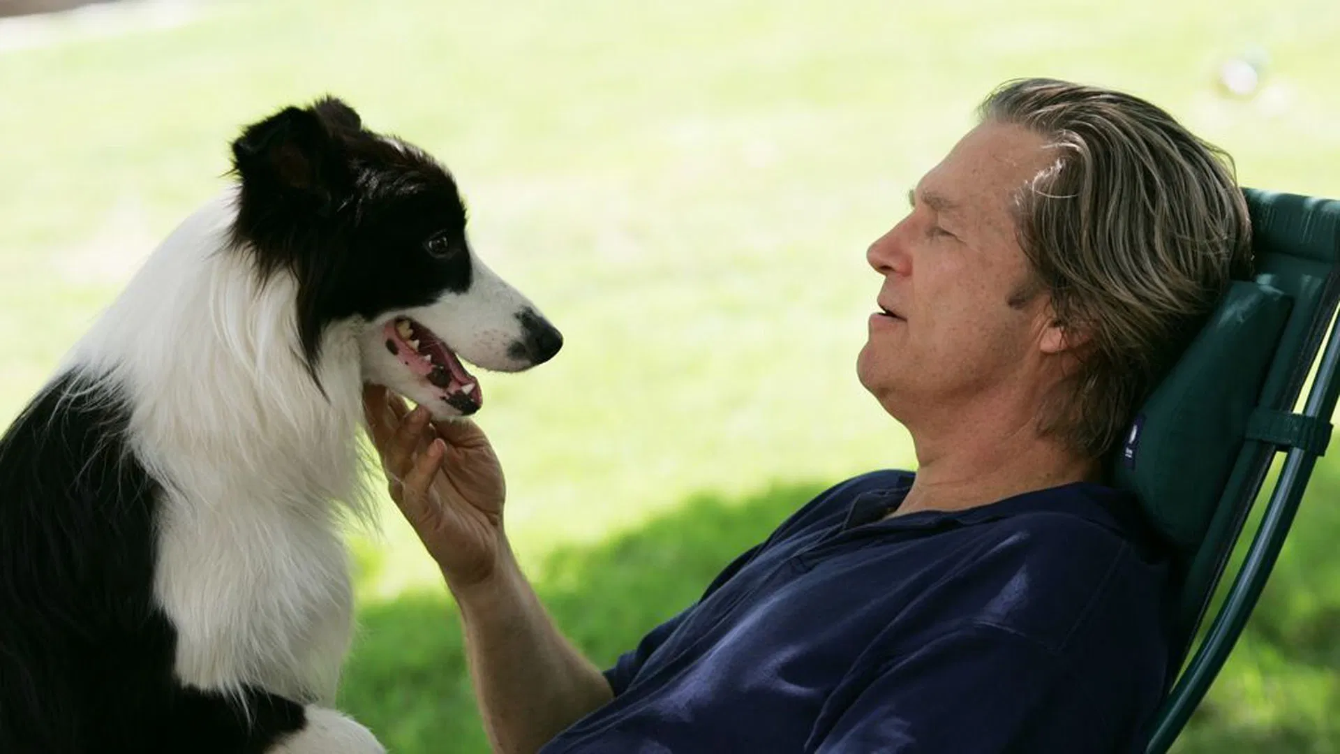 دانلود فیلم A Dog Year 2009