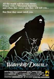 دانلود انیمیشن Watership Down 1978443148-1498287420