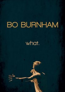 دانلود مستند Bo Burnham what 2013445515-1386437773