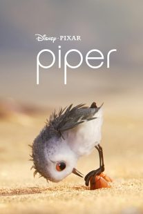 دانلود انیمیشن Piper 2016445119-1223214608