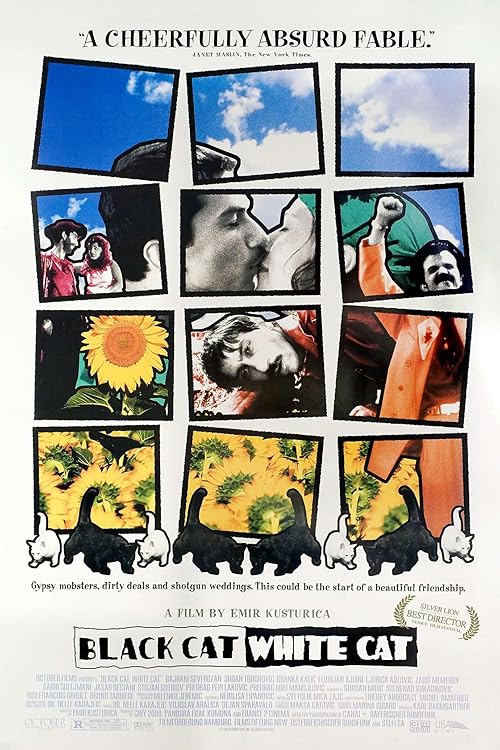 دانلود فیلم Black Cat, White Cat 1998