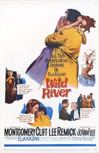 دانلود فیلم Wild River 1960448133-1060306319