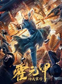 دانلود فیلم Fearless Kungfu King 2020443355-1969894681