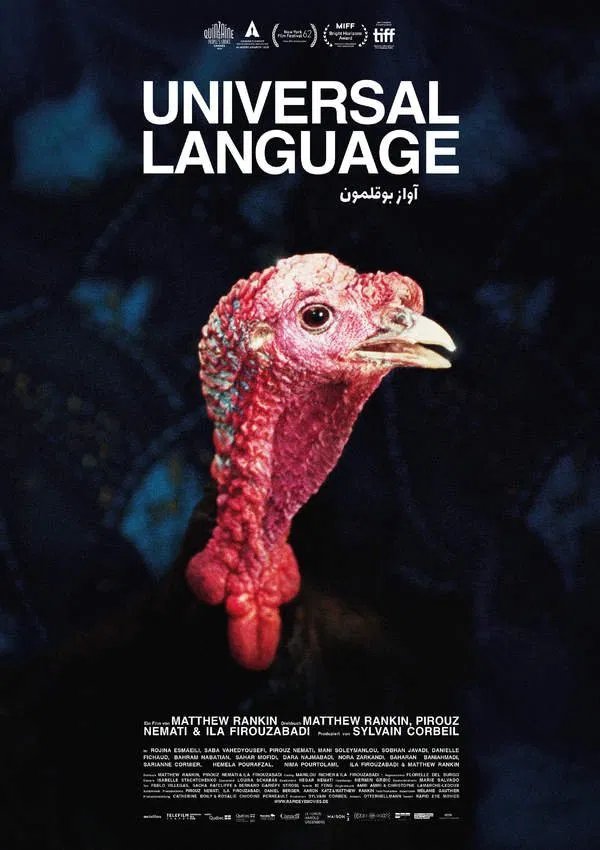 دانلود فیلم Universal Language 2024