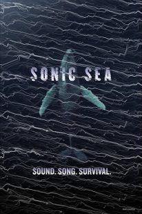 دانلود مستند Sonic Sea 2016450517-1356563234