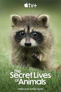 دانلود مستند The Secret Lives of Animals448835-1212793710