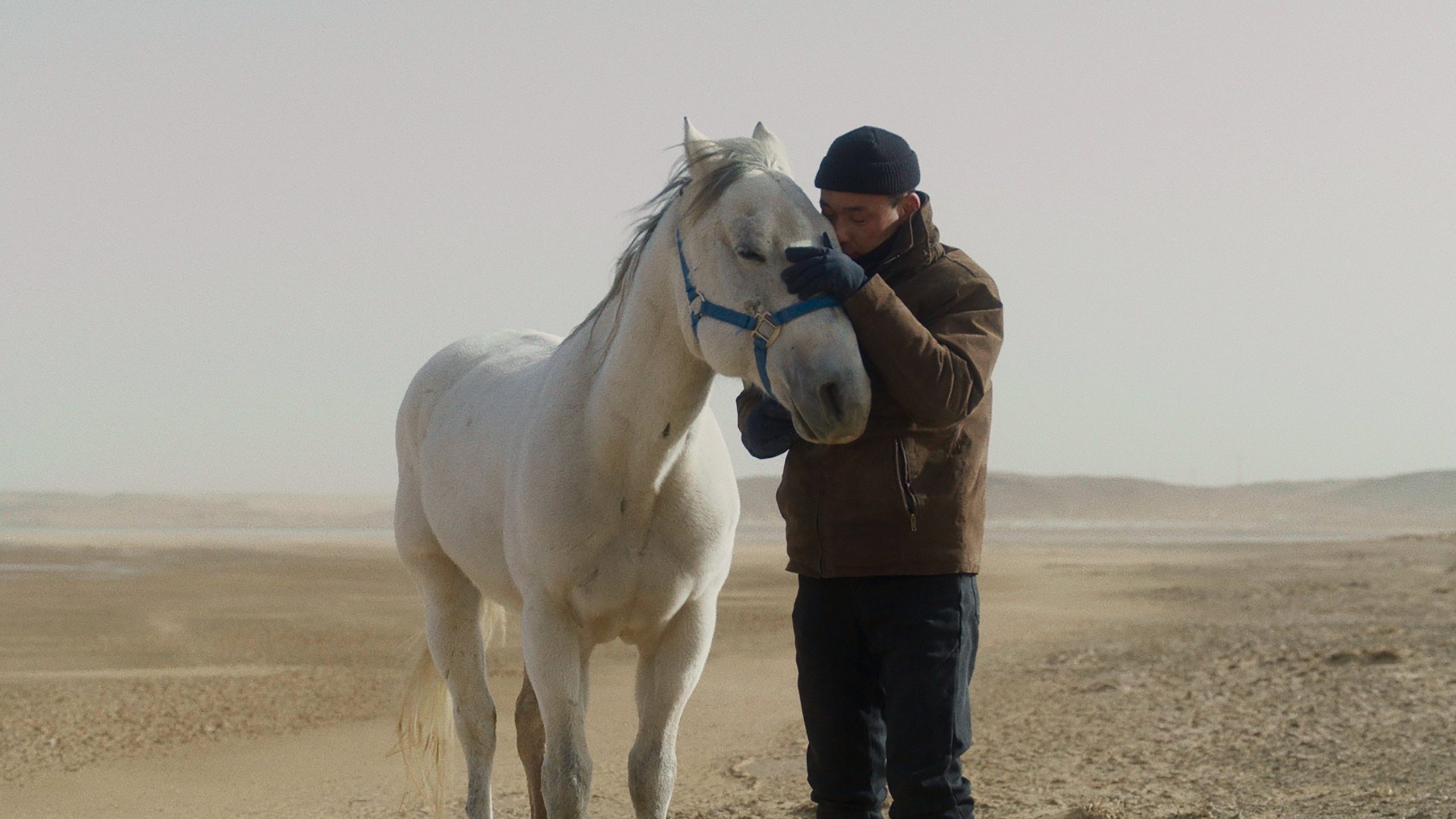 دانلود فیلم کره‌ای To Kill a Mongolian Horse 2024