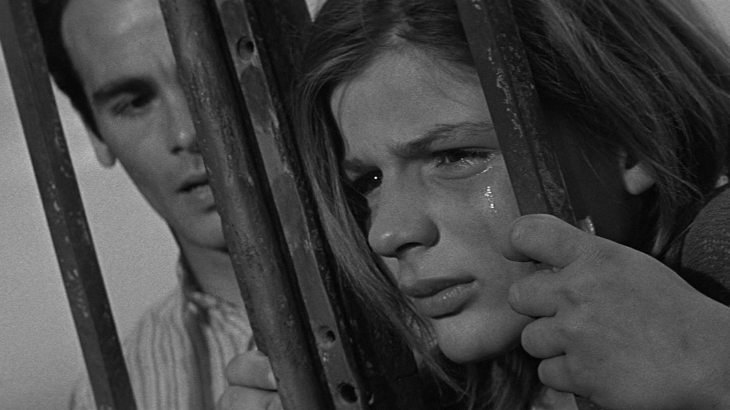 دانلود فیلم Rapture 1965