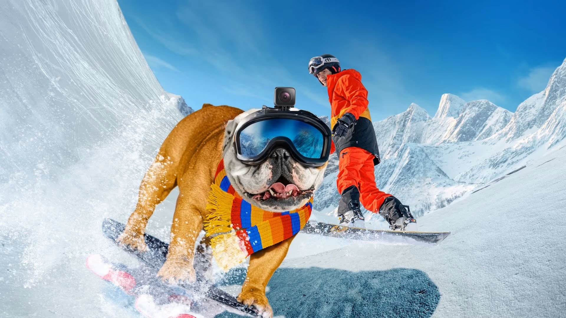 دانلود فیلم Powder Pup 2024