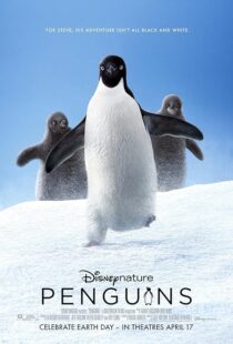 دانلود مستند Penguins 2019457646-1256861873