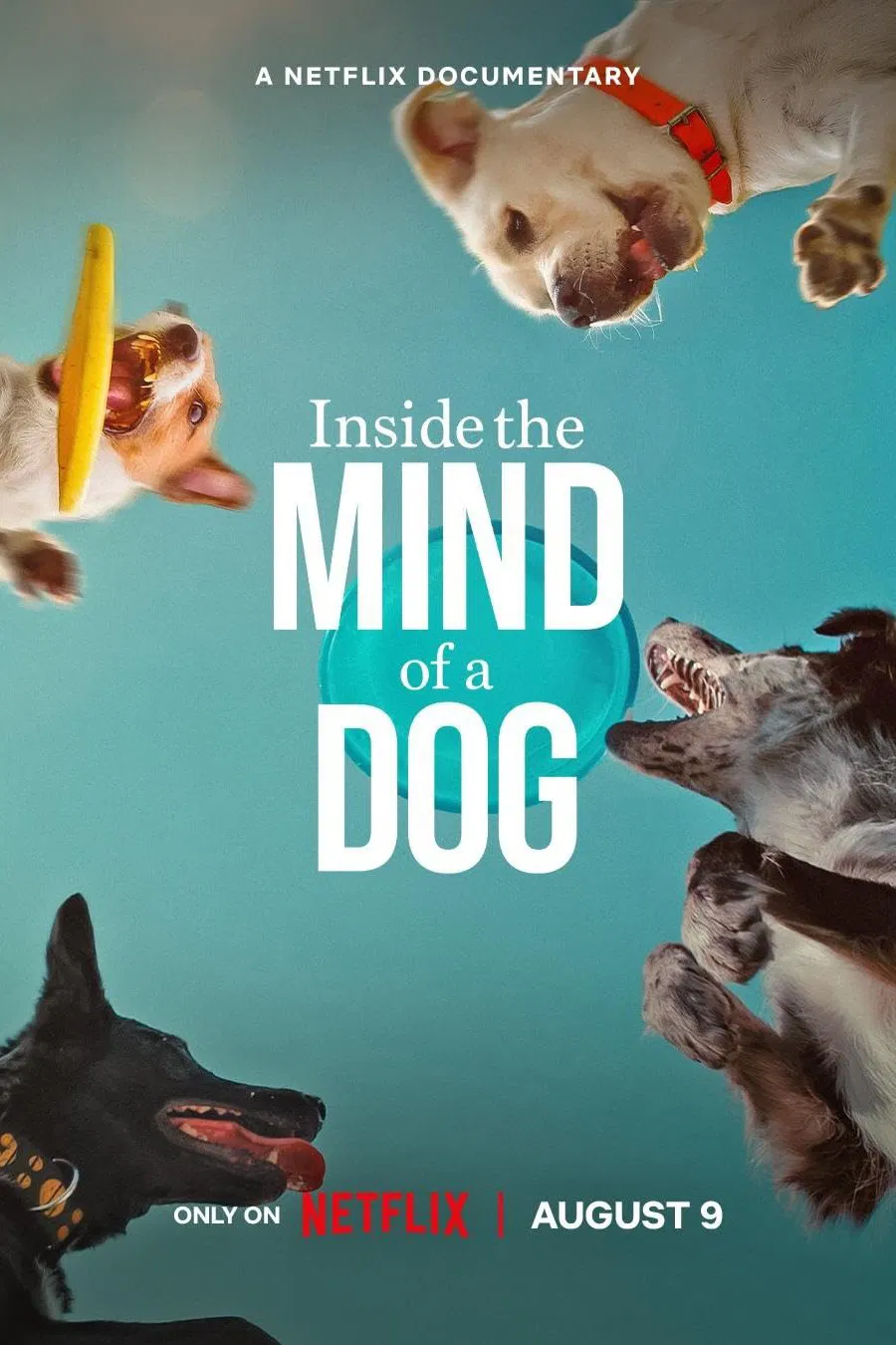 دانلود فیلم Inside the Mind of a Dog 2024