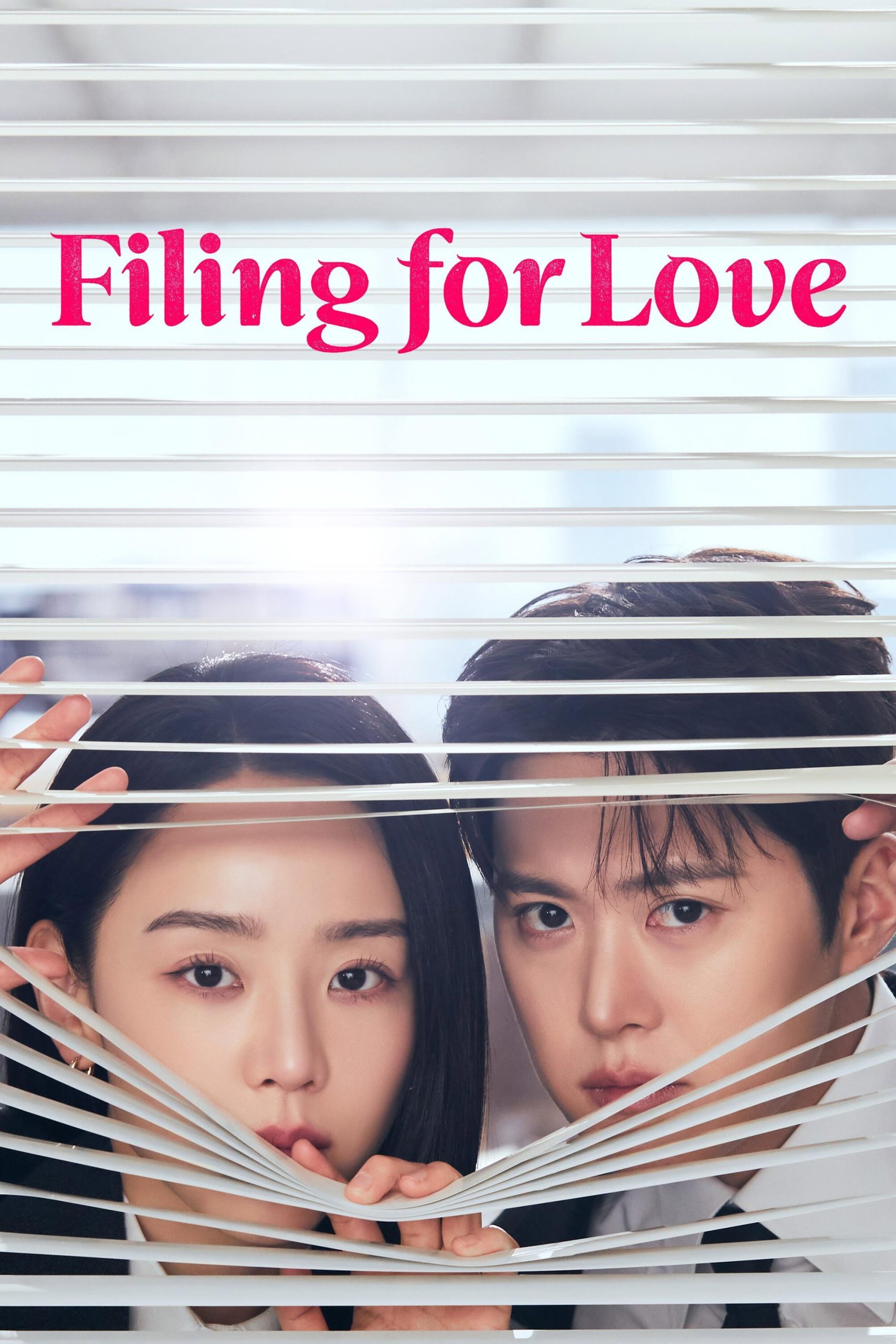 دانلود سریال کره ای Filing for Love