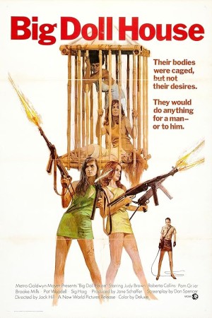 دانلود فیلم The Big Doll House 1971
