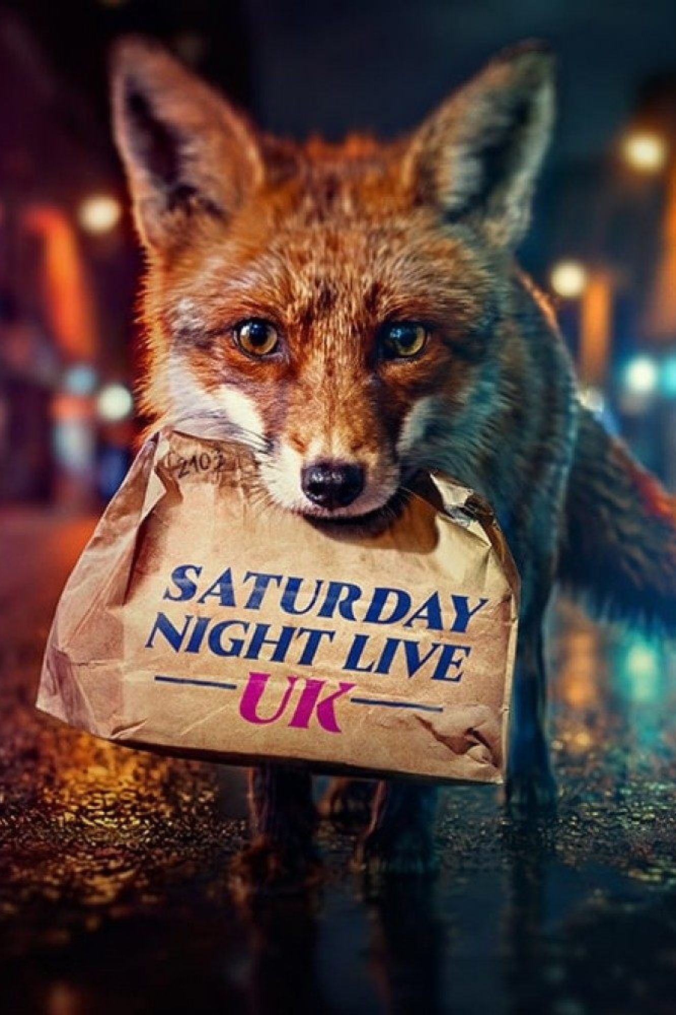 دانلود برنامه تلویزیونی Saturday Night Live UK