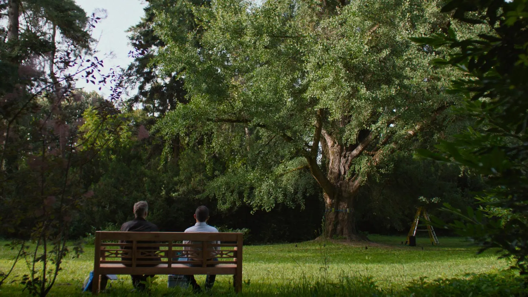 دانلود فیلم Silent Friend 2025